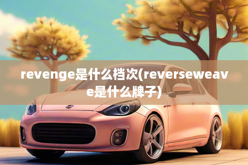 revenge是什么档次(reverseweave是什么牌子)