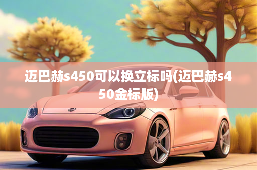 迈巴赫s450可以换立标吗(迈巴赫s450金标版)