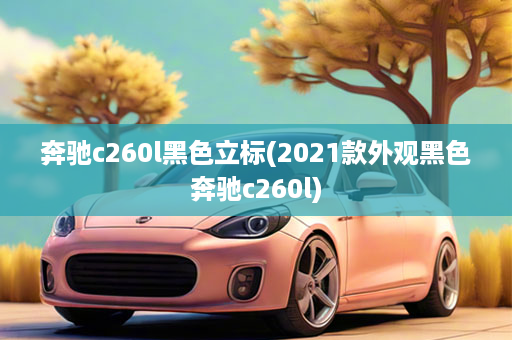 奔驰c260l黑色立标(2021款外观黑色奔驰c260l)