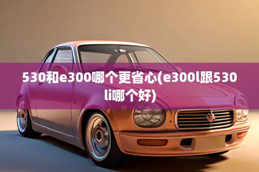 530和e300哪个更省心(e300l跟530li哪个好)