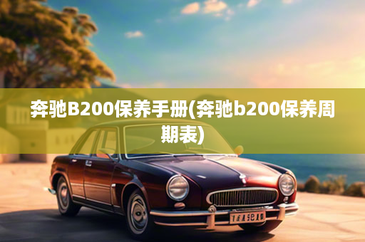 奔驰B200保养手册(奔驰b200保养周期表)