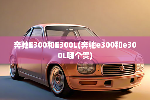 奔驰E300和E300L(奔驰e300和e300L哪个贵)