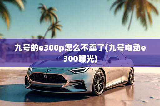 九号的e300p怎么不卖了(九号电动e300曝光)