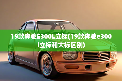 19款奔驰E300L立标(19款奔驰e300l立标和大标区别)