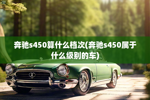 奔驰s450算什么档次(奔驰s450属于什么级别的车)