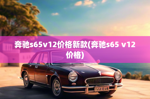 奔驰s65v12价格新款(奔驰s65 v12价格)