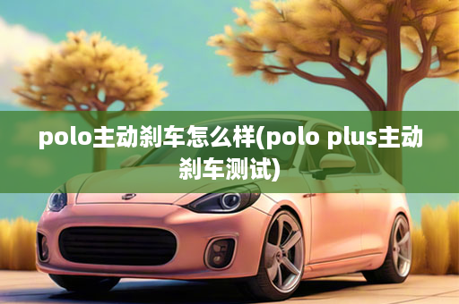 polo主动刹车怎么样(polo plus主动刹车测试)