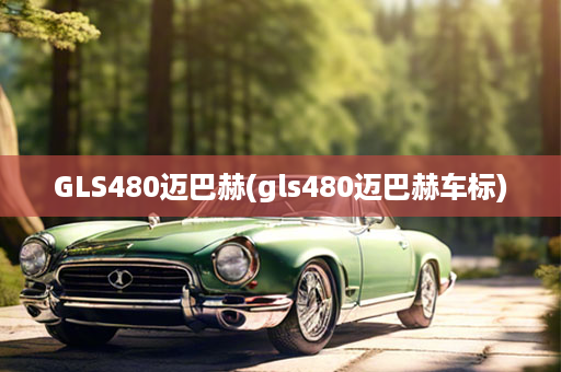 GLS480迈巴赫(gls480迈巴赫车标)