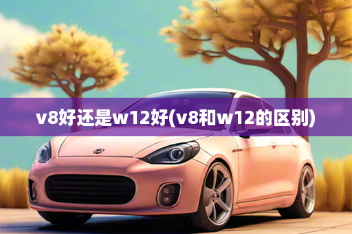 v8好还是w12好(v8和w12的区别)