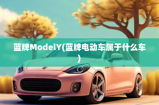 蓝牌ModelY(蓝牌电动车属于什么车)