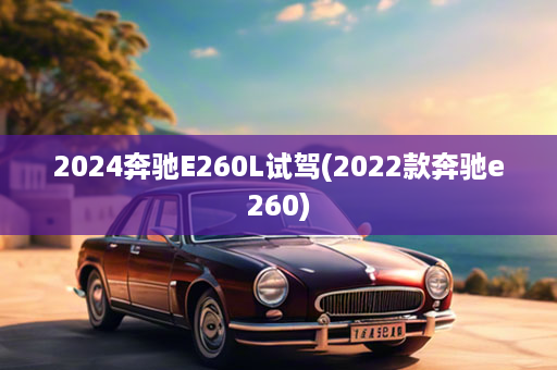 2024奔驰E260L试驾(2022款奔驰e260)