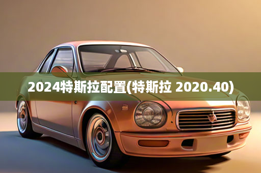 2024特斯拉配置(特斯拉 2020.40)