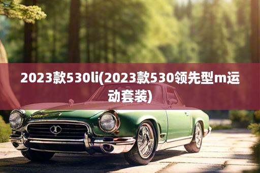 2023款530li(2023款530领先型m运动套装)