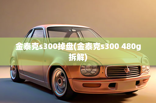 金泰克s300掉盘(金泰克s300 480g拆解)