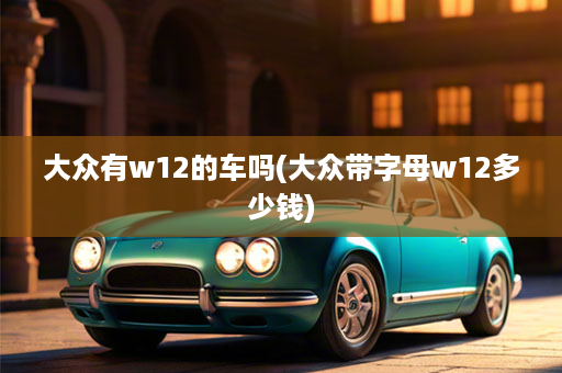 大众有w12的车吗(大众带字母w12多少钱)