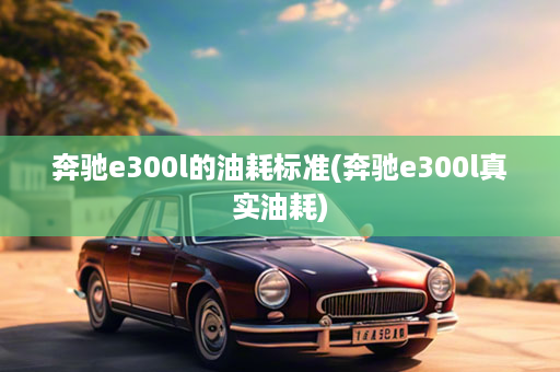 奔驰e300l的油耗标准(奔驰e300l真实油耗)