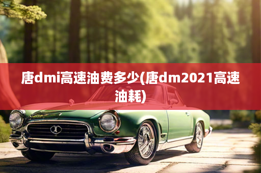 唐dmi高速油费多少(唐dm2021高速油耗)