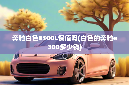 奔驰白色E300L保值吗(白色的奔驰e300多少钱)