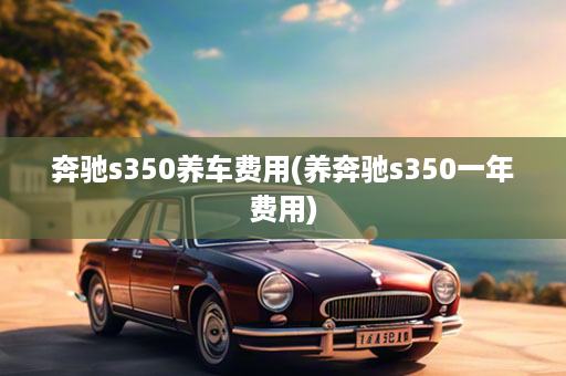 奔驰s350养车费用(养奔驰s350一年费用)