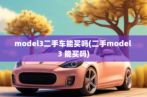 model3二手车能买吗(二手model 3 能买吗)