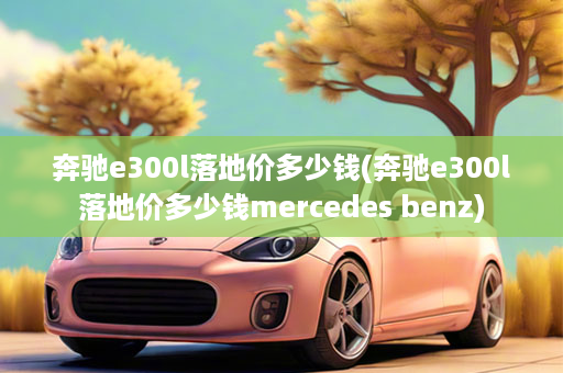 奔驰e300l落地价多少钱(奔驰e300l落地价多少钱mercedes benz)