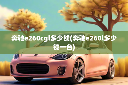 奔驰e260cgl多少钱(奔驰e260l多少钱一台)