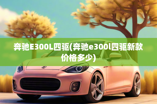 奔驰E300L四驱(奔驰e300l四驱新款价格多少)