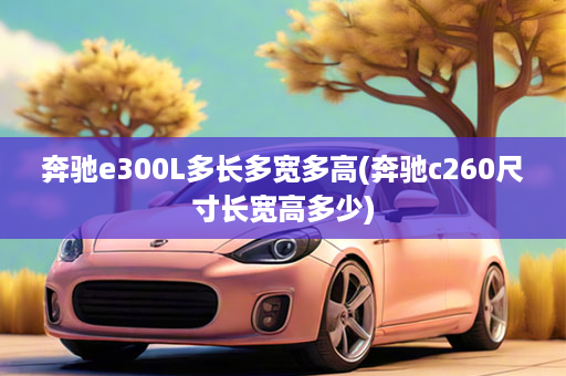 奔驰e300L多长多宽多高(奔驰c260尺寸长宽高多少)